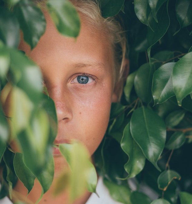 La bambina che sale sugli alberi