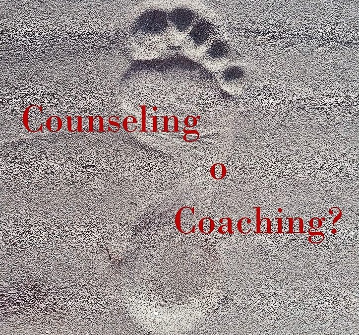 Counselor e Coach: analogie e differenze